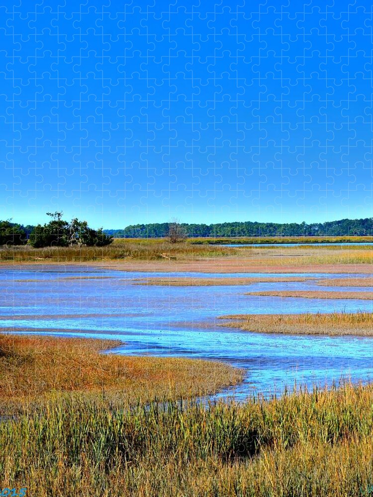 Low Country Jigsaw Puzzle